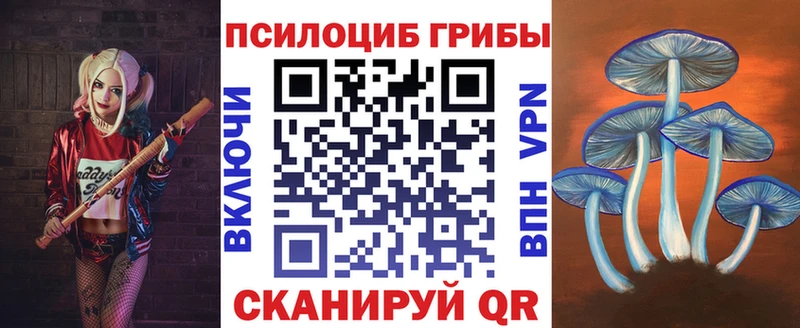 Псилоцибиновые грибы Psilocybe  Усолье 